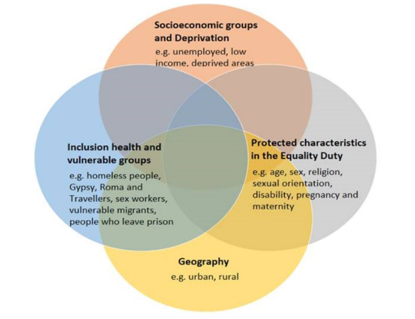 Venn diagram showing the overlaps between the different lists and other aspects of inequality.