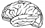 Illustration of a human brain in black and white.
